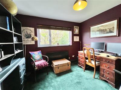 Picture 25